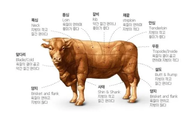 소의 부위별 고기 특징과 명칭과 육질의 특징