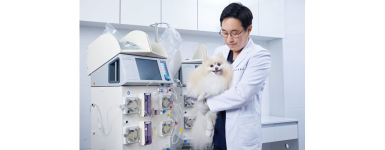 서울 강남구 동물병원