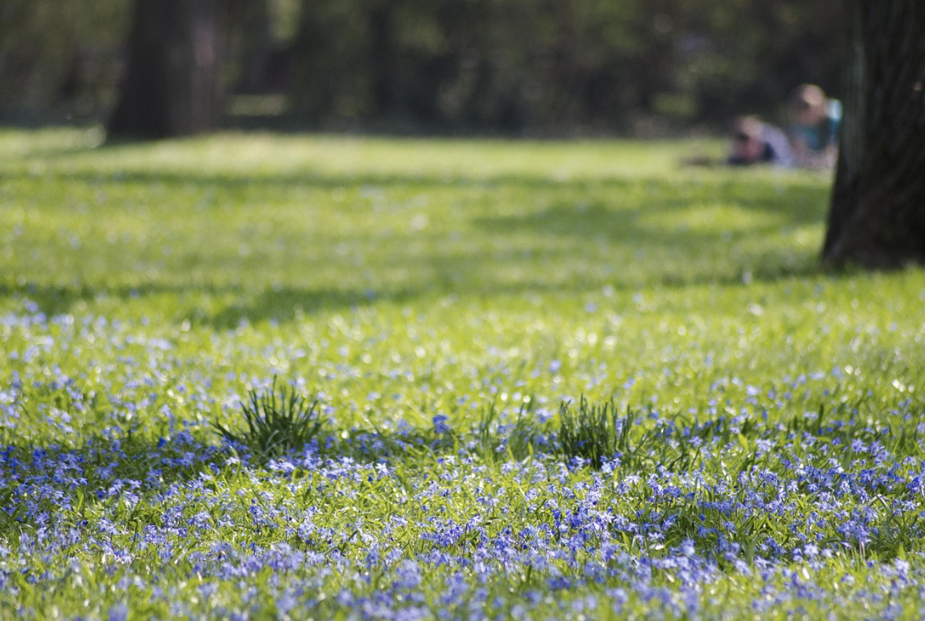 소아 신경근육질환