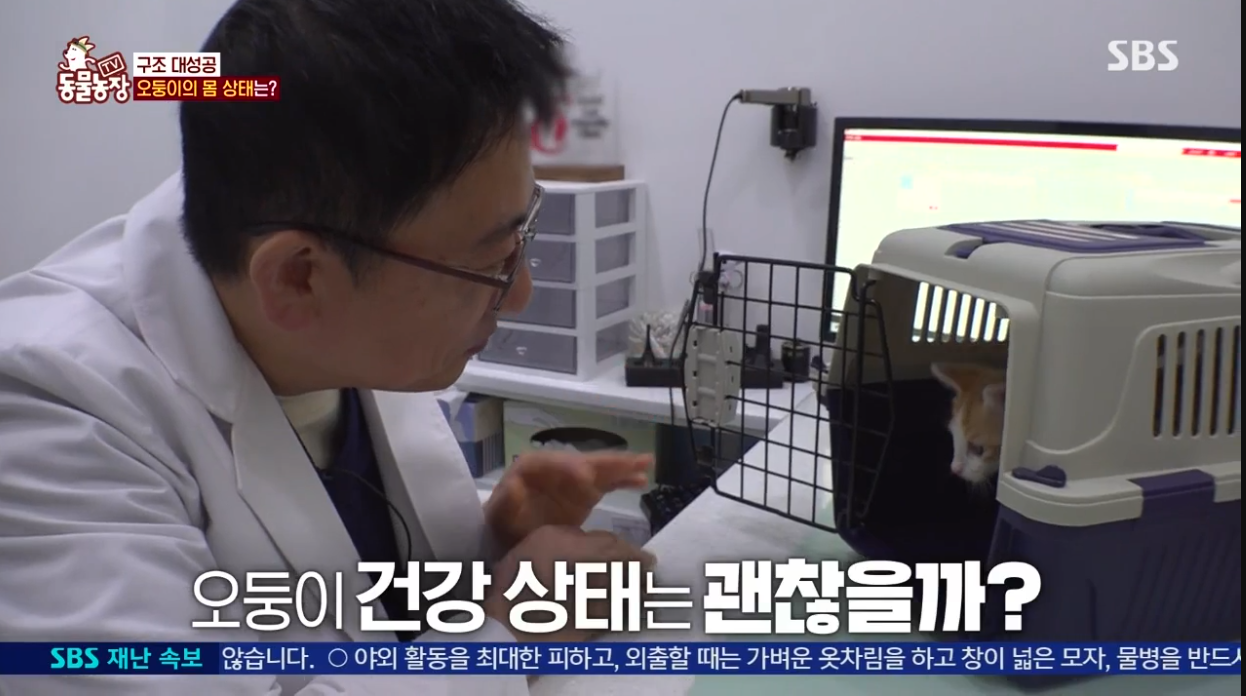 동물농장