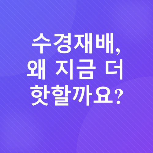 수경재배 상추 키우기_1