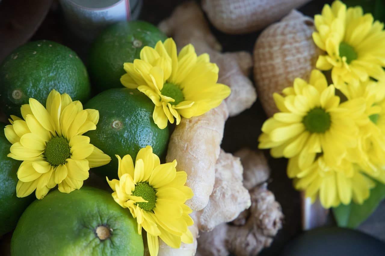 천연 세라피로 소화 건강 회복하기: 민트와 생강 활용법