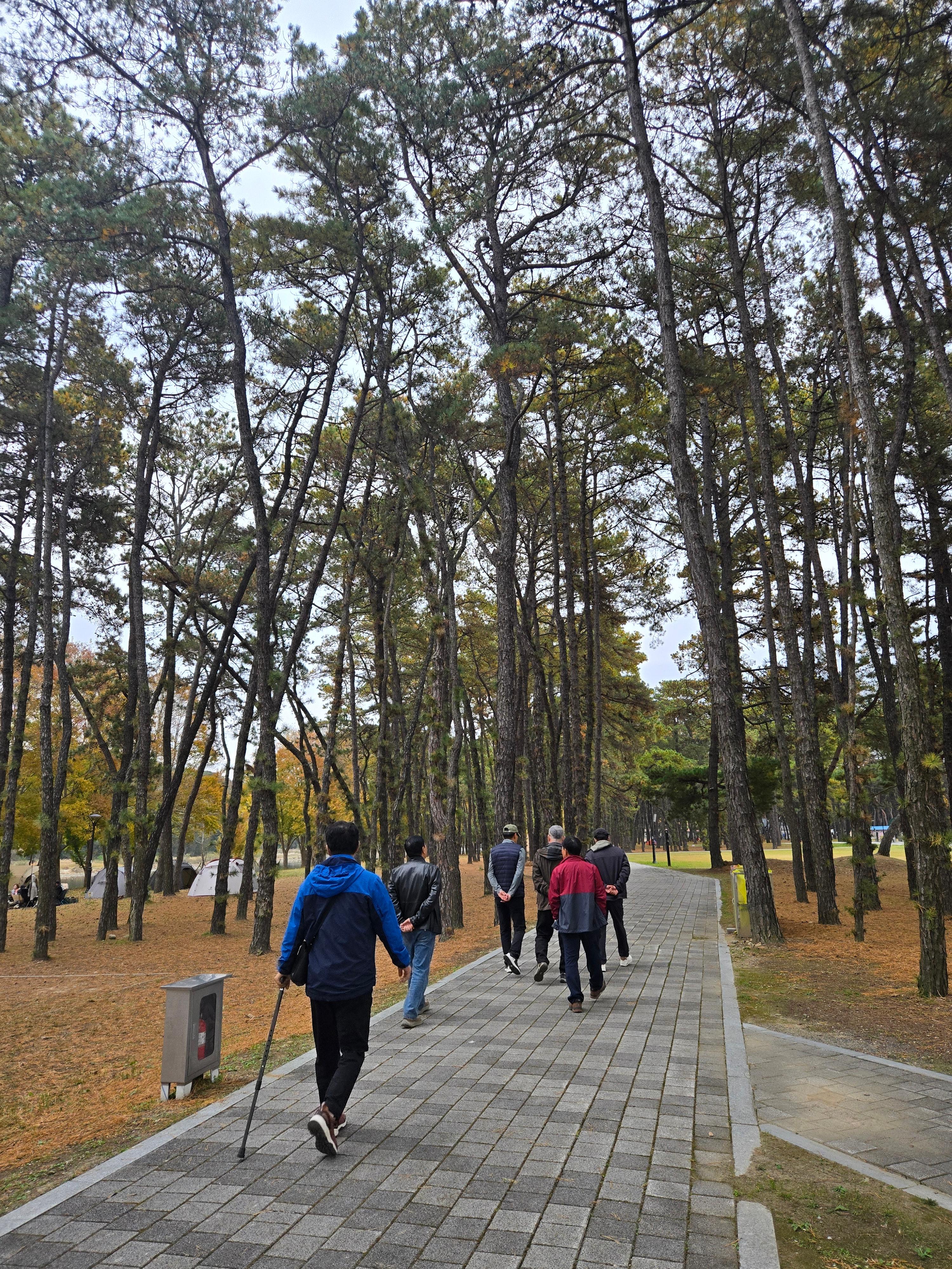 금강을 따라 걷는 길 — 계절이 머무는 풍경
