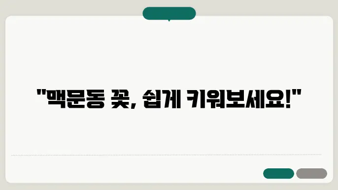 맥문동 꽃 재배방법 가격 씨앗 파종에 대해 알아보기