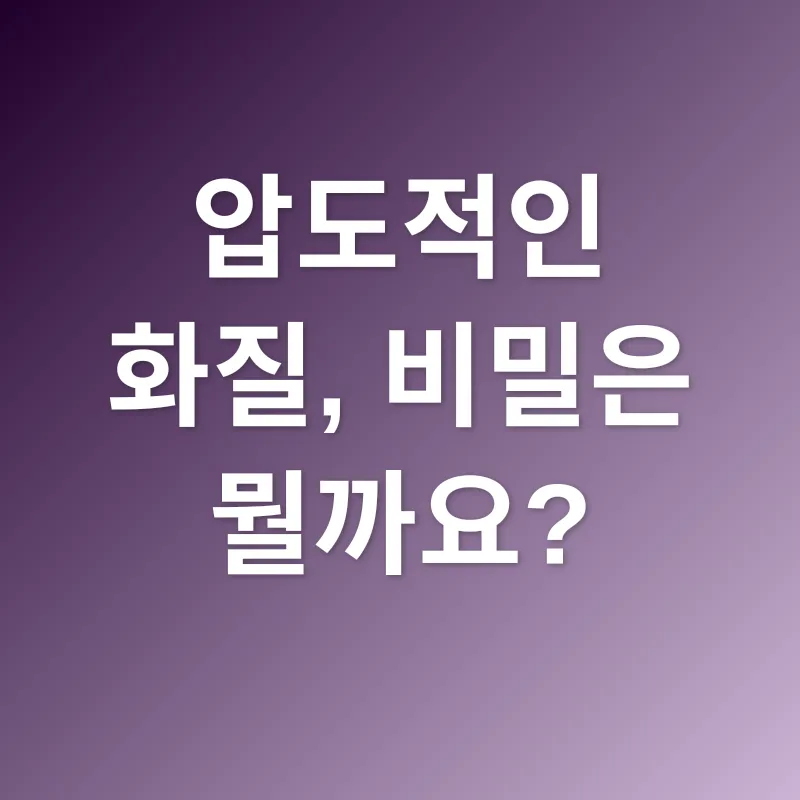 QNED TV 구매_1