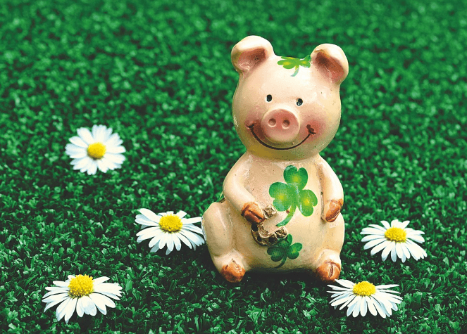 제주 지역화폐 사용처 총정리 – 알뜰살뜰 제주살이의 비밀