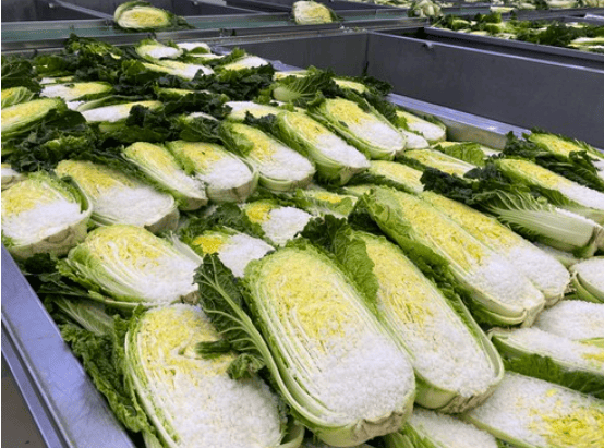 절임배추 추천 순위 TOP 5(24년 11월) - 네이버, 쿠팡 절임배추 판매 분석