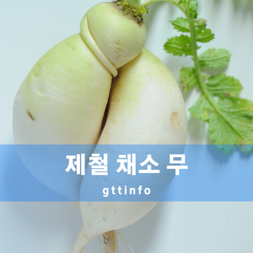 무의 효능