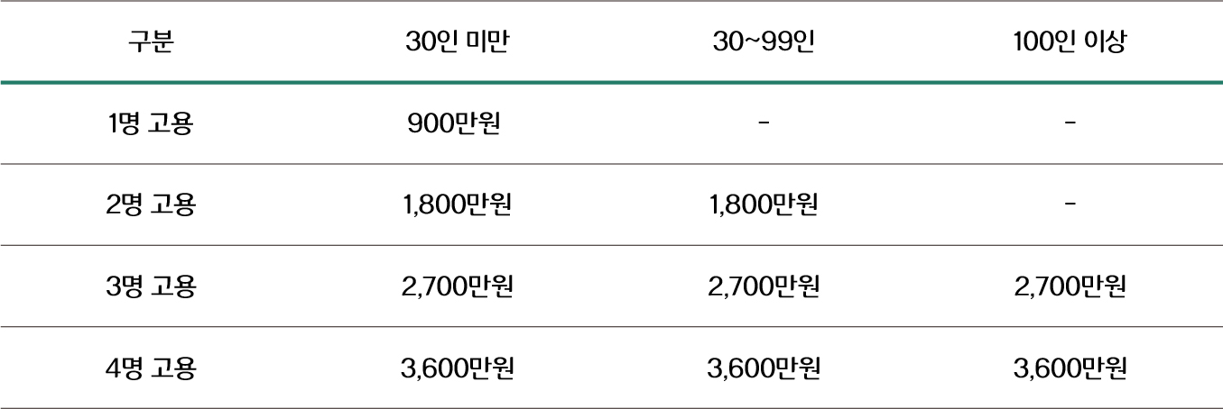 청년추가고용장려금 1인당 연900만원