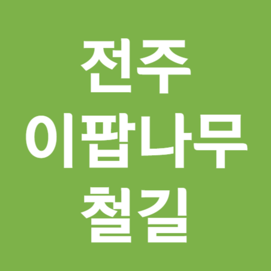 전주 이팝나무 철길