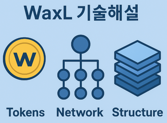 엑셀라(WAXL)기술해설 (토큰방식, 네트워크, 구조) 이미지