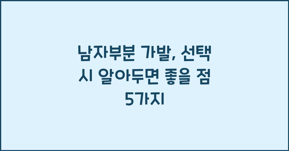 남자부분 가발
