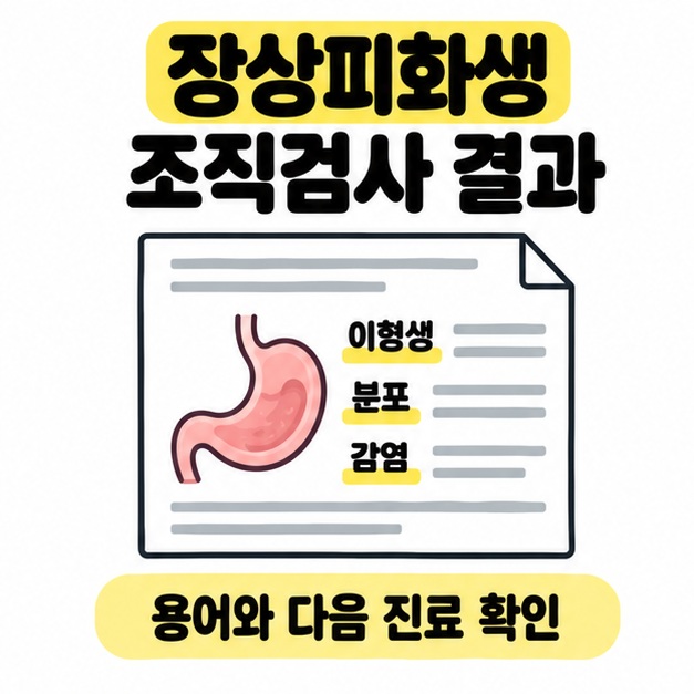 장상피화생 조직검사 결과 제목 아래 위 그림과 이형성, 분포, 감염 항목이 적힌 결과지 모식도가 있다.