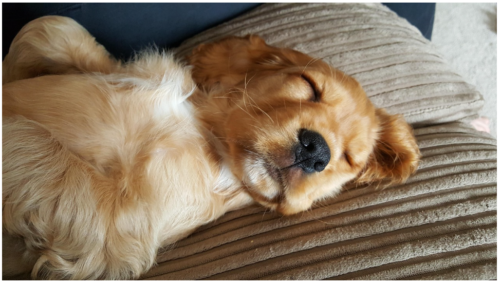 수면의 중요성과 건강에 미치는 영향