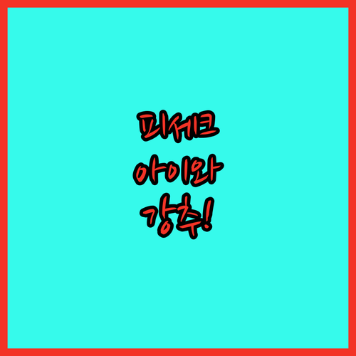 아이와 함께라면 꼭 확인해야 할 체코..