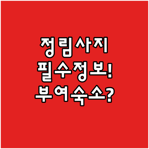 정림사지 5층 석탑 관람 시간 안내와..