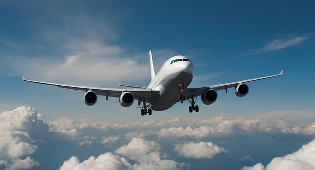 비행기 결항 환불 방법