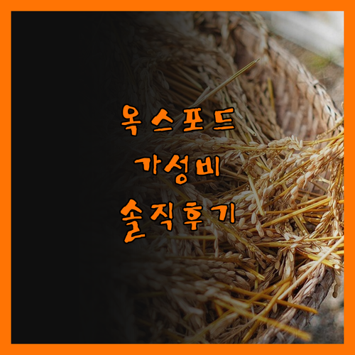 솔직후기 옥스포드 거리 Holiday