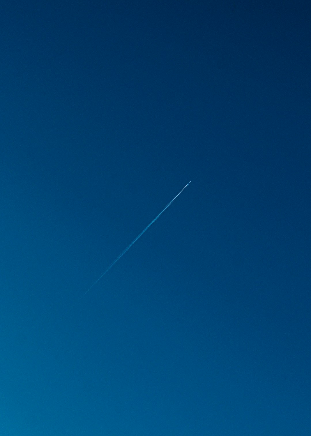 청와대 관람 예약 없이 가는 방법 관련 이미지 2