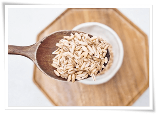 섬유질이 풍부한 귀리