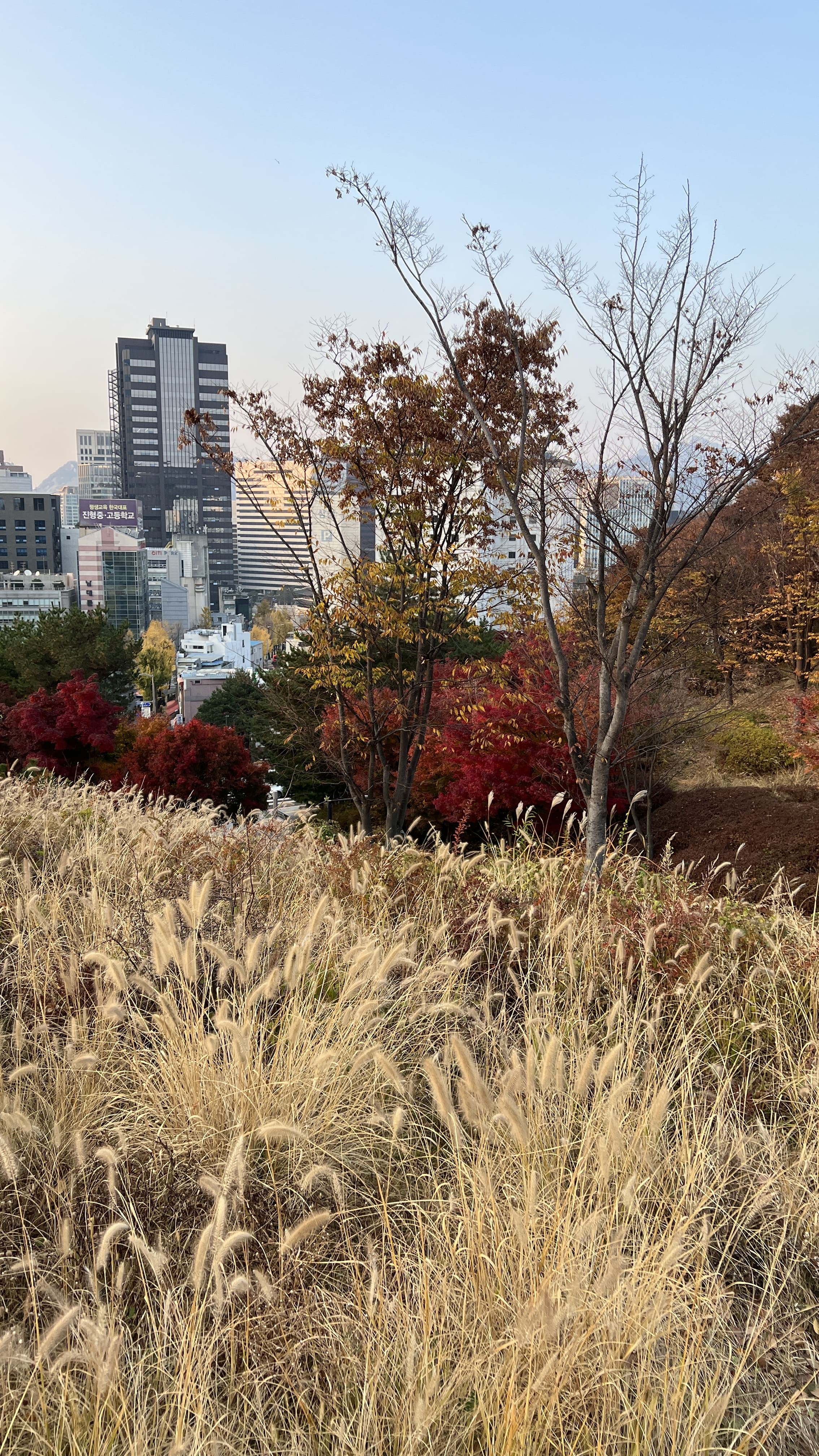 가을 남산공원 백범광장 산책