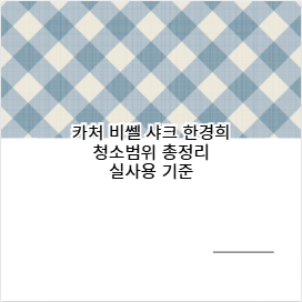 카처 비쎌 샤크 한경희 청소범위 총정리 실사용 기준