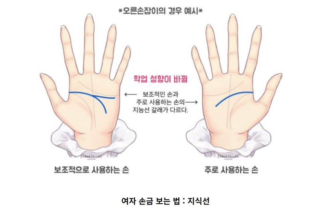 여자 손금 보는 법