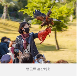제주 화조원 티켓 (화조원 사이트 사진참조)