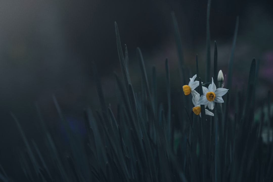 Reward