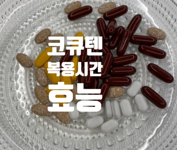 코큐텐효능 코큐텐 복용시간 코큐텐 추천