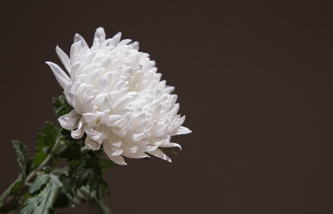 납골당, 추모공원, 봉안당 - 인천, 강원도, 경기도, 경상북도