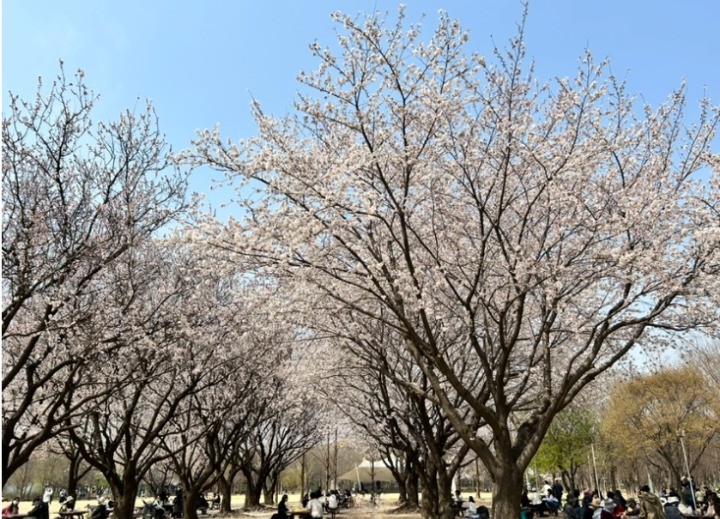 서울숲
