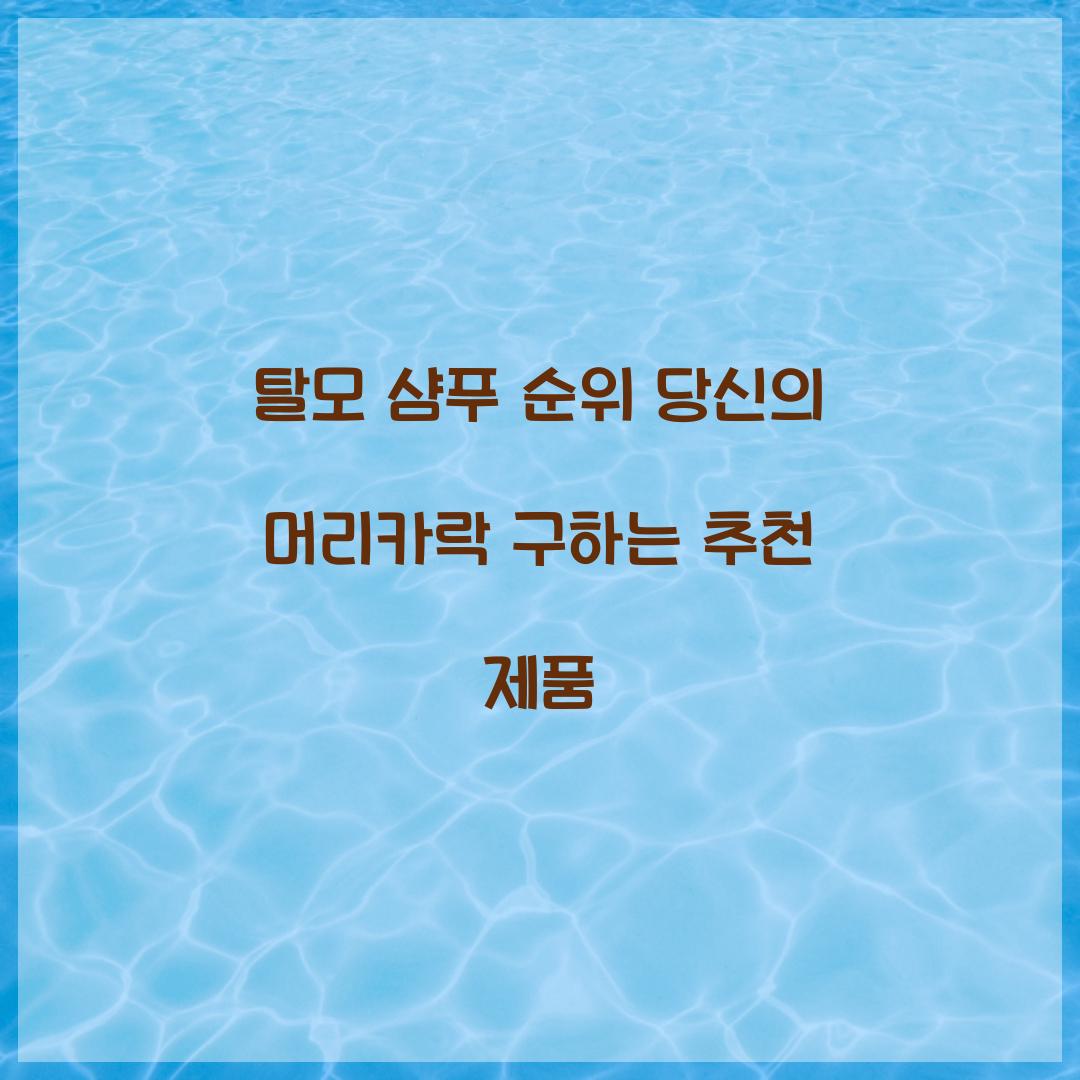 탈모 샴푸 순위