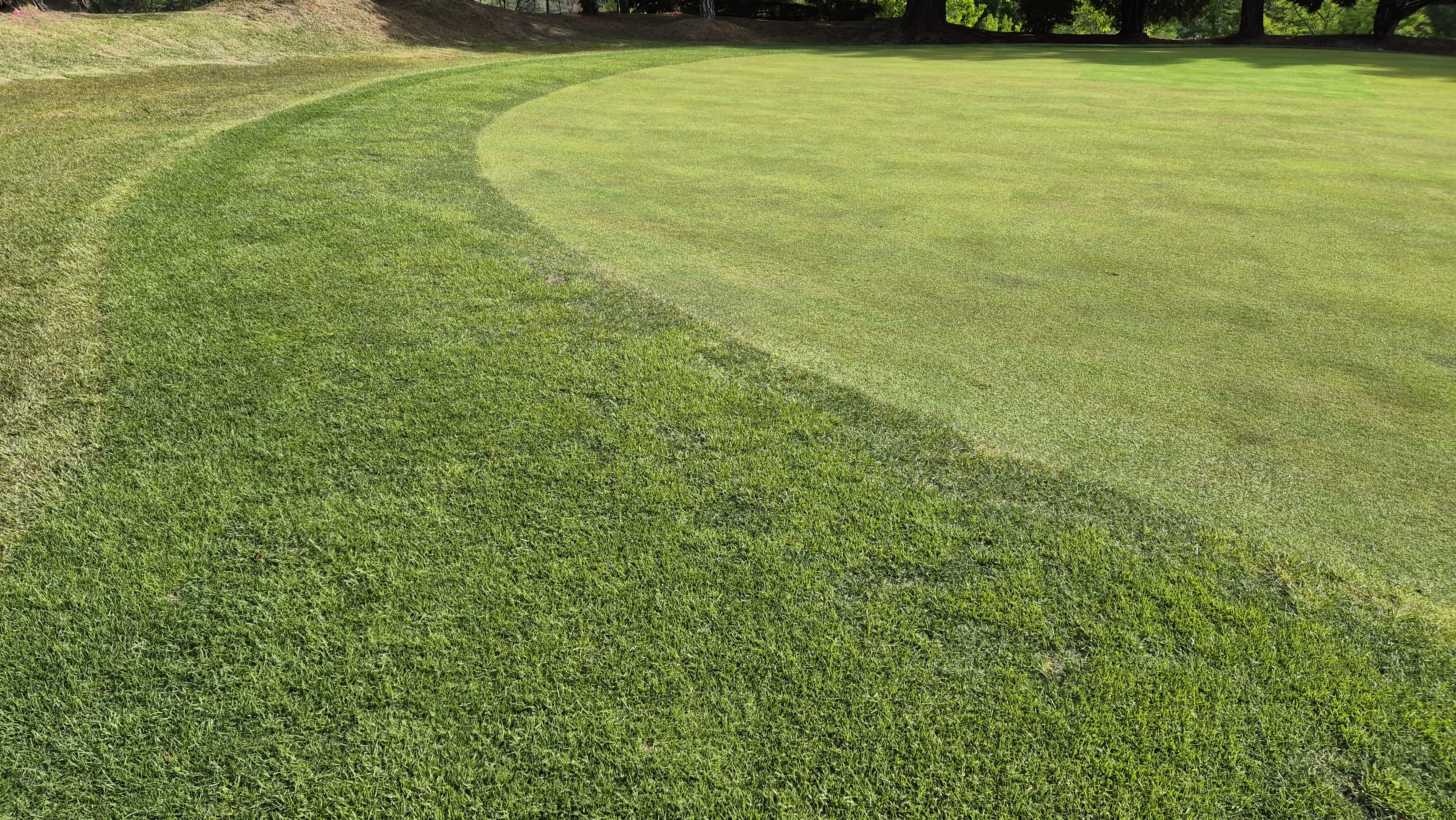 한원cc 라운드후기