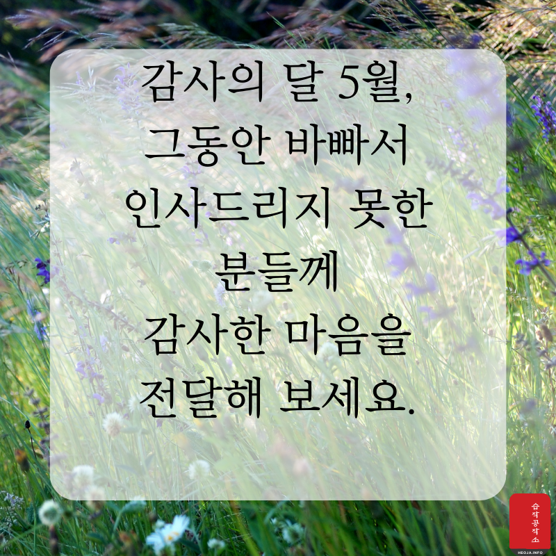 2025년 5월 인사말 문구 이미지 모음집