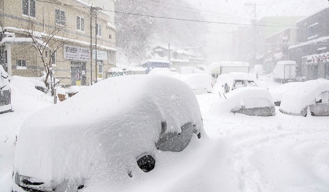 폭설 재난지원금 신청방법