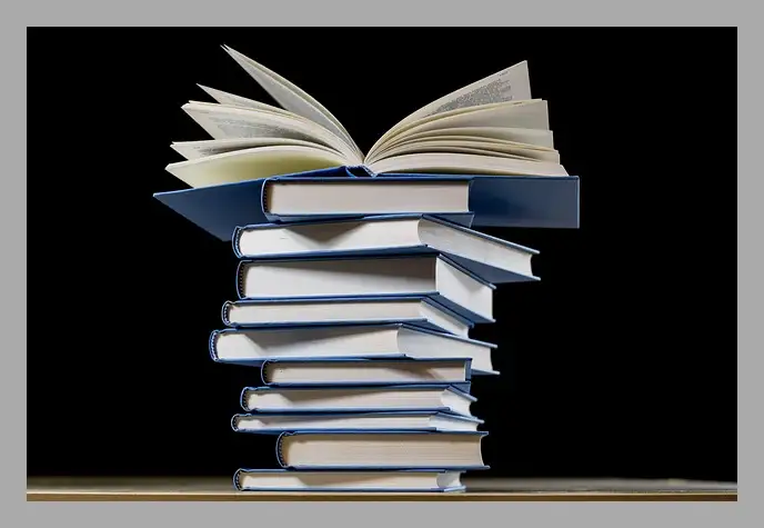 한강 채식주의자