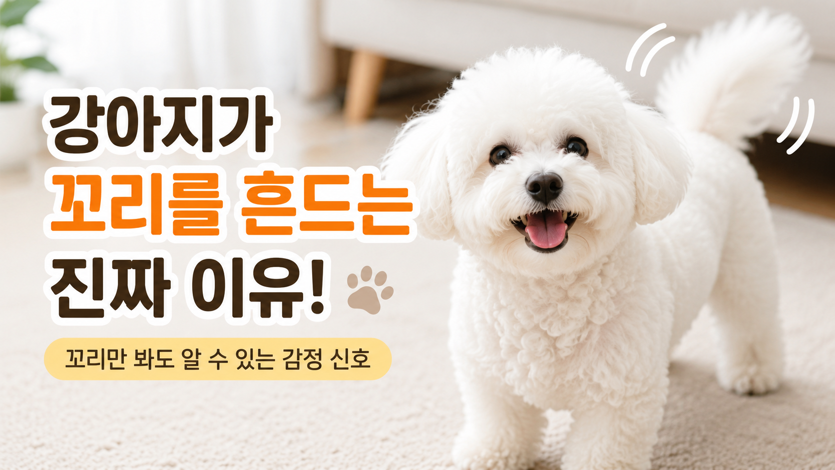강아지가 꼬리를 흔드는 이유 총정리|꼬리 움직임으로 알아보는 반려견의 감정