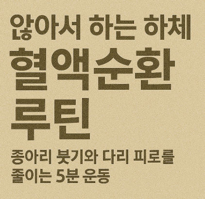 앉아서 하는 하체 혈액순환 루틴 – 종아리 붓기와 다리 피로를 줄이는 5분 운동