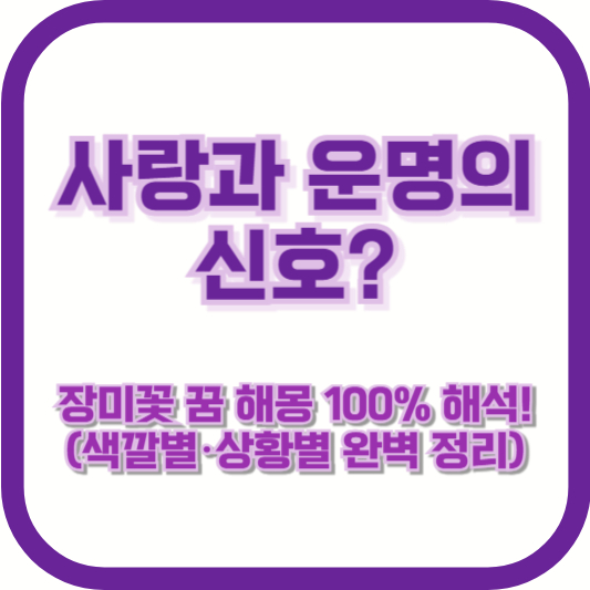 사랑과 운명의 신호? 장미꽃 꿈 해몽 100% 해석! (색깔별·상황별 완벽 정리)