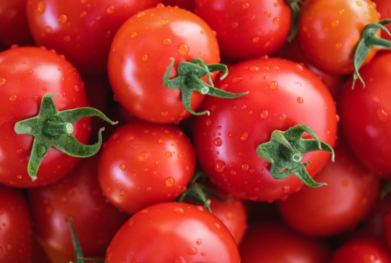 전립선 비대증-완치-토마토