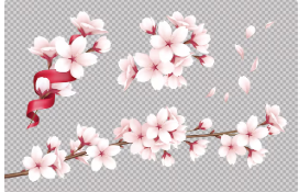 벚꽃