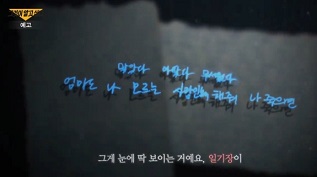 대전여고생살인