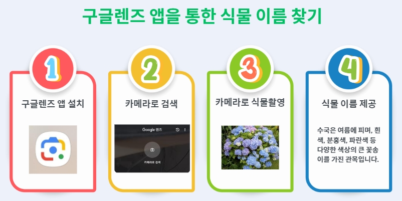 구글 렌즈를 통한 식물 이름 찾기
