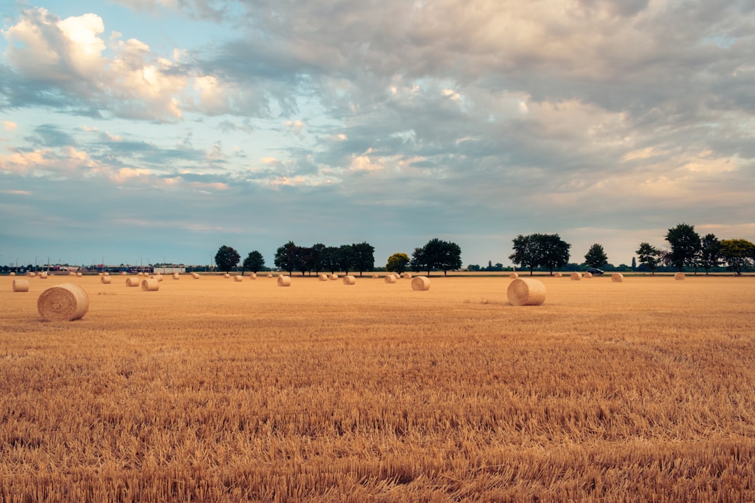 Agricultural land