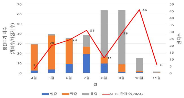 참진드기 지수 그래프