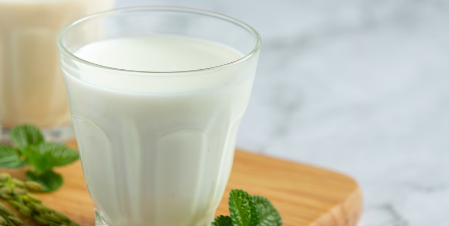 숙취해소에 도움되는 음식 요구르트