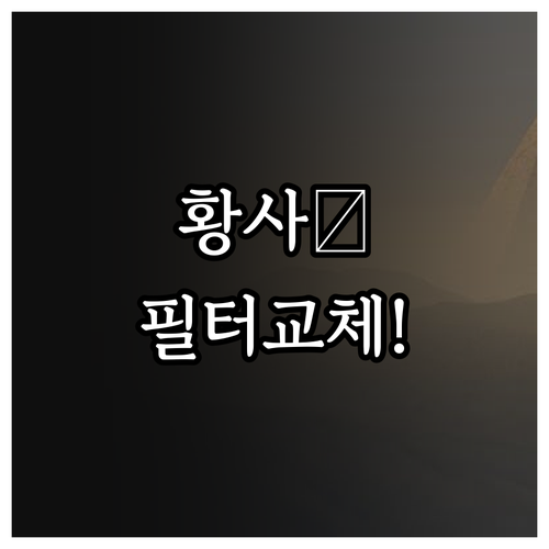 황사철 차량 관리 필수 단계 세차 방..