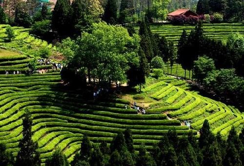 자연과 함께하는 국내 힐링 여행지 Top 10