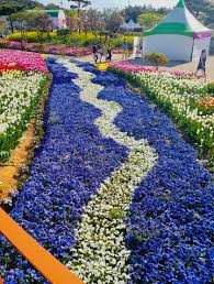 안면도꽃박람회